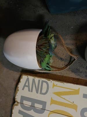 Lot 4 Wall Hangings. /2 Matching Planters/Plnts /Wood Sign /1 Decorative Plant. - Thumbnail 2