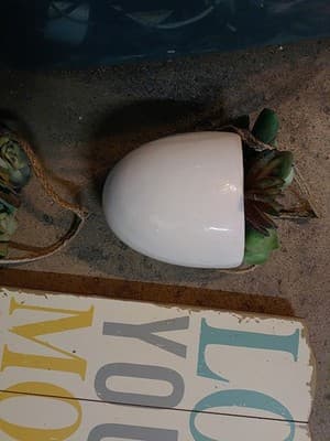 Lot 4 Wall Hangings. /2 Matching Planters/Plnts /Wood Sign /1 Decorative Plant. - Thumbnail 3