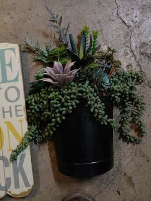 Lot 4 Wall Hangings. /2 Matching Planters/Plnts /Wood Sign /1 Decorative Plant. - Thumbnail 4