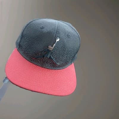 Air Jordan Elephant Print Youth Size Snapback Hat - Black / Red Bill / Metallic - Thumbnail 2