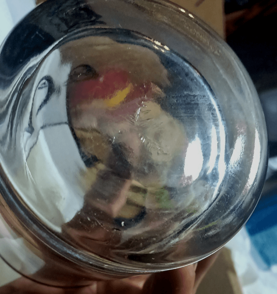 Set Of 5 Silver Lettering "V" Drinking Glasses With Silver Rim - Thumbnail 3