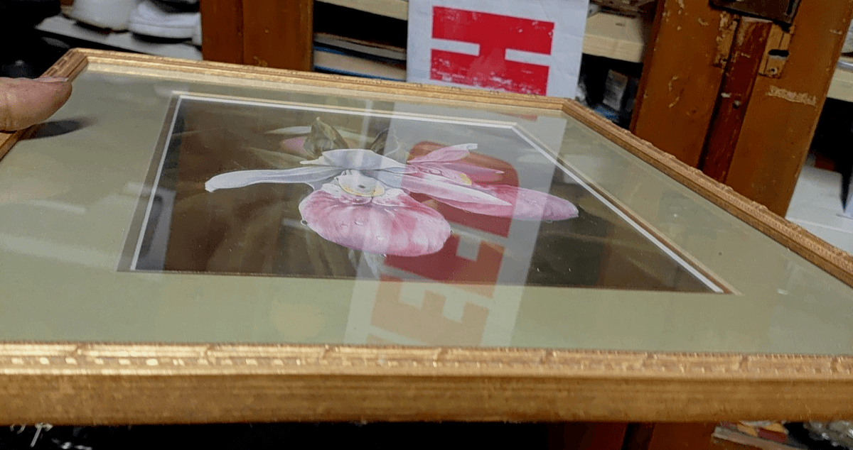 Annette Hartzell Signed Original Watercolor/Print - Showy Lady's Slipper Orchid - Thumbnail 4