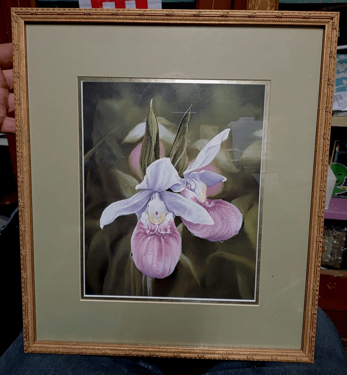 Annette Hartzell Signed Original Watercolor/Print - Showy Lady's Slipper Orchid - Image 1
