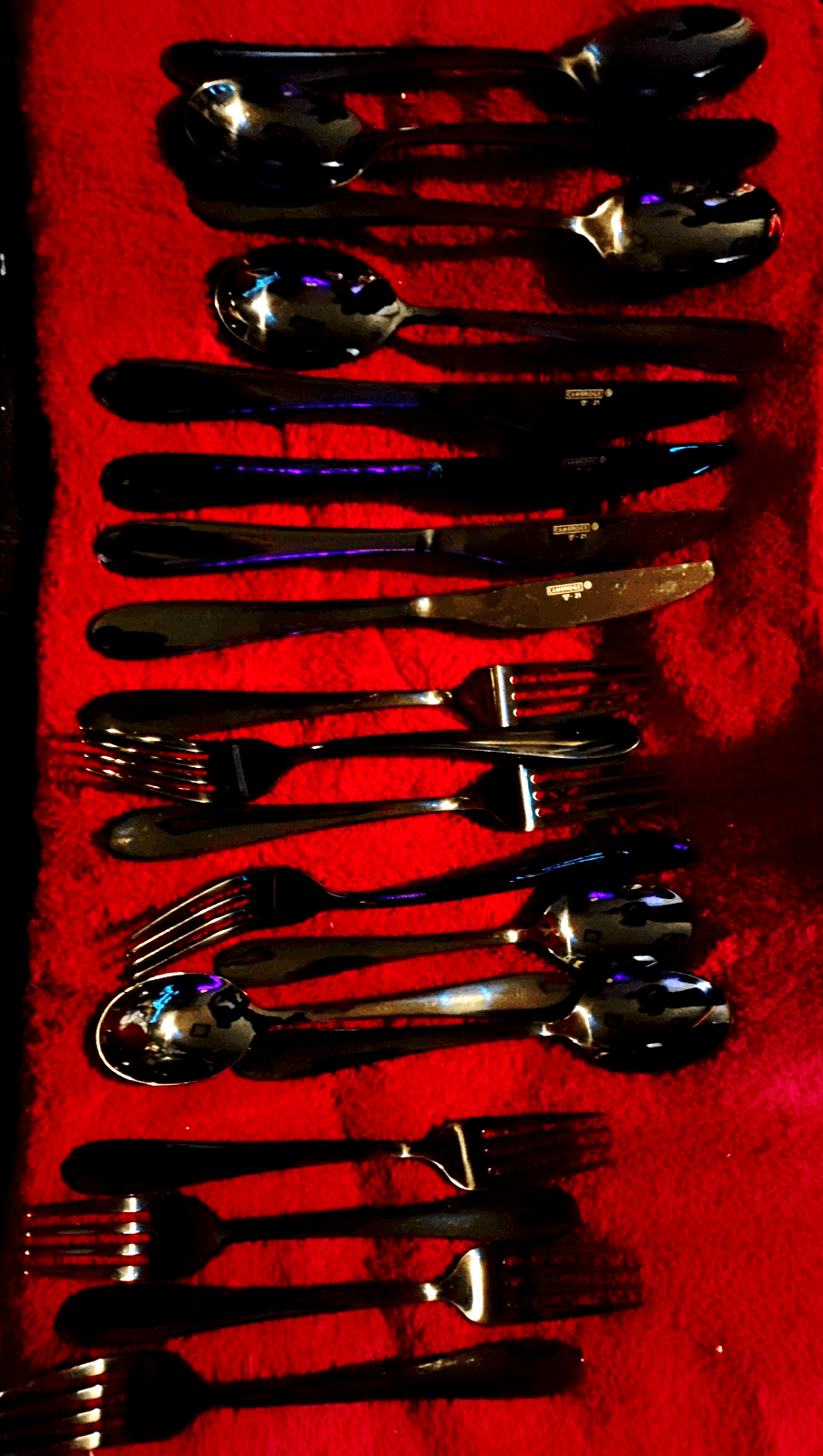 19 Piece Cambridge, Delia Black Satin Chromium Silverware Set - Image 1