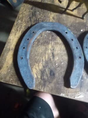 Lot of Horse Themed collectible items 4 Horse Figurines, 3 Horse Shows, And More - Thumbnail 2