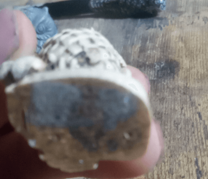 Lot Of 5 Vintage Owl Figurines. Each Made From Completely Different Materials. - Thumbnail 5