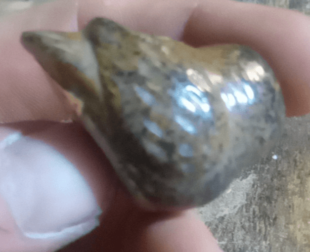 Lot Of 5 Vintage Owl Figurines. Each Made From Completely Different Materials. - Thumbnail 13