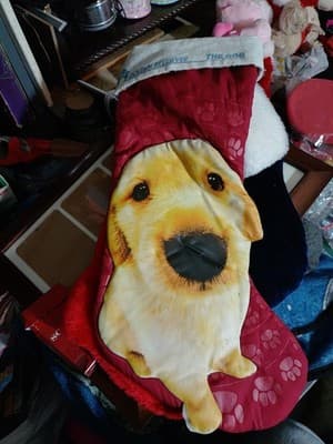 Golden Retriever Christmas Stalking - Image 1