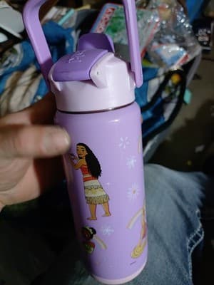 Zak Disney Leak Proof Tumbler 20 OZ New Princess Belle Moana Tangled Ariel Purpl - Thumbnail 2
