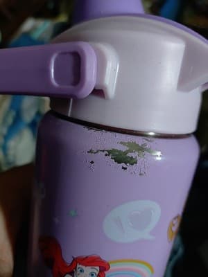 Zak Disney Leak Proof Tumbler 20 OZ New Princess Belle Moana Tangled Ariel Purpl - Thumbnail 3