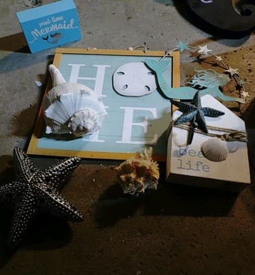 Lot Of 6 Decorative Wall Hangings And Display Shells- All Go Great/ Beach Theme - Image 1