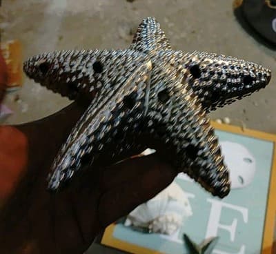 Lot Of 6 Decorative Wall Hangings And Display Shells- All Go Great/ Beach Theme - Thumbnail 8