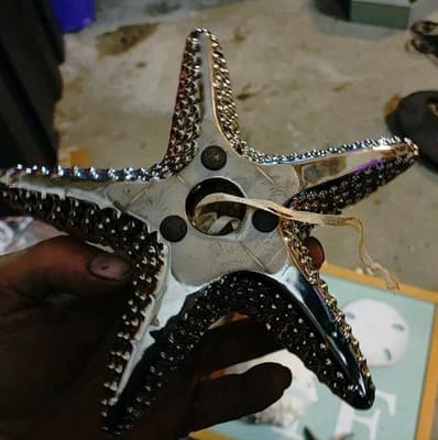 Lot Of 6 Decorative Wall Hangings And Display Shells- All Go Great/ Beach Theme - Thumbnail 9