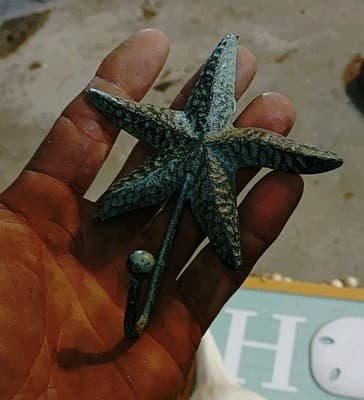 Lot Of 6 Decorative Wall Hangings And Display Shells- All Go Great/ Beach Theme - Thumbnail 10