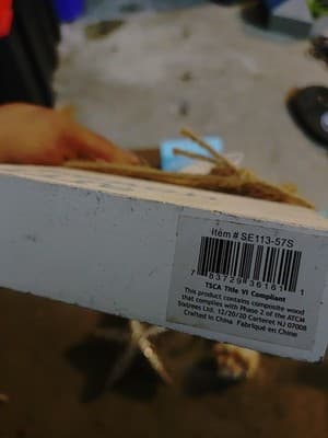 Lot Of 6 Decorative Wall Hangings And Display Shells- All Go Great/ Beach Theme - Thumbnail 4