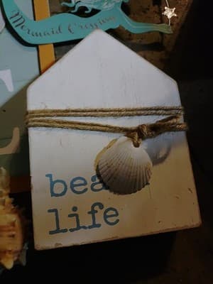 Lot Of 6 Decorative Wall Hangings And Display Shells- All Go Great/ Beach Theme - Thumbnail 3