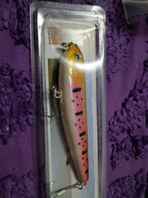 Lot of 3 Nuthin' Fancy Outdoors Minnow Lures - Jerkbait / Stickbait - Rainbow... - Thumbnail 6