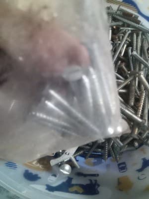 6lbs Of Random Screws Mostly Flat Head - Thumbnail 2