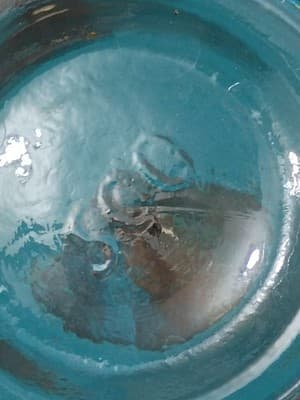 French Vintage 500ml Etched Floral Glass Decanter - Ring Pull Stopper -... - Thumbnail 4