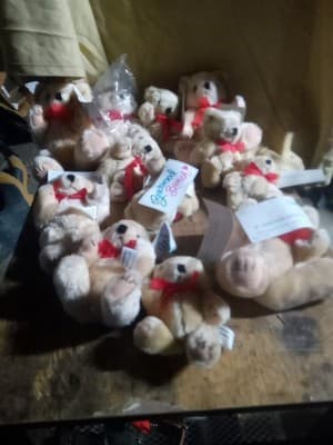 Lot Of 12 Beachwood Bunch Small Stuffed Teddy Bears All With The Tag Still On - Image 1