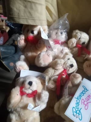 Lot Of 12 Beachwood Bunch Small Stuffed Teddy Bears All With The Tag Still On - Thumbnail 5