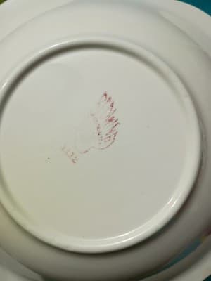 Vintage Red Wing Lotus 7.5" Bowl and 6.5" Plates - 4 Piece Set - Thumbnail 4