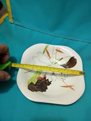 Vintage Red Wing Lotus 7.5" Bowl and 6.5" Plates - 4 Piece Set - Thumbnail 7