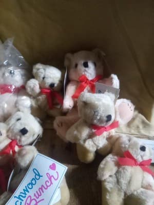 Lot Of 12 Beachwood Bunch Small Stuffed Teddy Bears All With The Tag Still On - Thumbnail 4