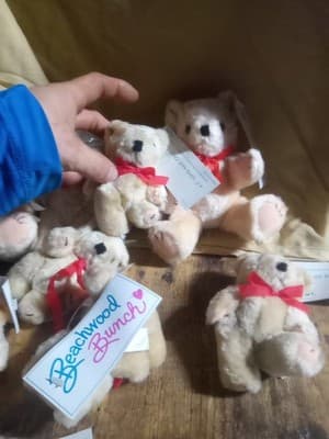 Lot Of 12 Beachwood Bunch Small Stuffed Teddy Bears All With The Tag Still On - Thumbnail 6
