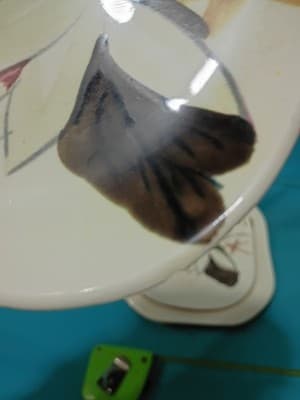 Vintage Red Wing Lotus 7.5" Bowl and 6.5" Plates - 4 Piece Set - Thumbnail 12