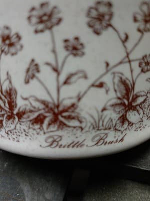 Vintage NORITAKE DESERT FLOWERS Creamer & Sugar Bowl With Lid - Thumbnail 11