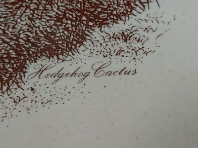 Vtg Noritake Desert Flowers 8341 Stoneware 9 3/4" Oval Vegetable Bowl Cactus - Thumbnail 4