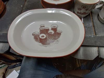 Vtg Noritake Desert Flowers 8341 Stoneware 9 3/4" Oval Vegetable Bowl Cactus - Thumbnail 5