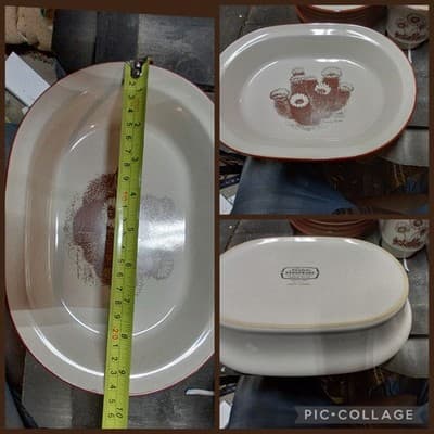 Vtg Noritake Desert Flowers 8341 Stoneware 9 3/4" Oval Vegetable Bowl Cactus - Image 1