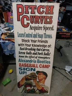 "Vintage Style PITCH CURVES Alexandria Beetles Baseball Sign 36x14" - Image 1