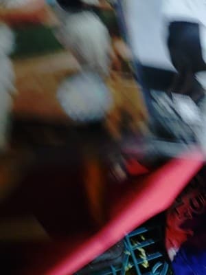 Lot Of 3 Mickey Mantle 8x10 Photos 2006 - Thumbnail 7