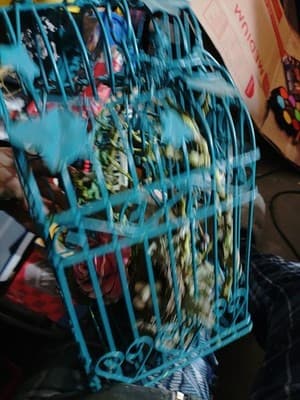 Vintage Small Decorative Bird Cage. Cage Only - Thumbnail 6