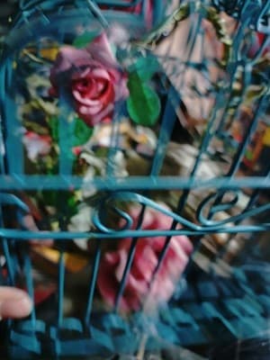 Vintage Small Decorative Bird Cage. Cage Only - Thumbnail 4