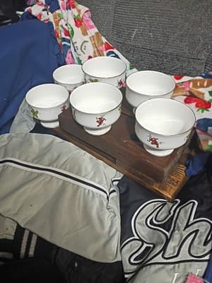 Set of 6 Vintage Royal Victoria Fine Bone China England Grape Vine Dessert Bowls - Image 1