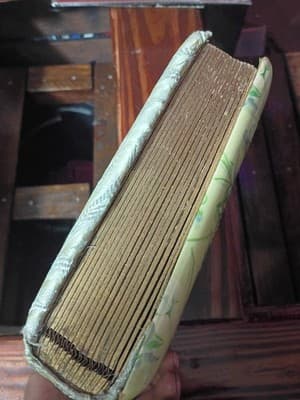 Antique Victorian Celluloid Photo Album Girl with Dove Art Nouveau Floral Large - Thumbnail 8