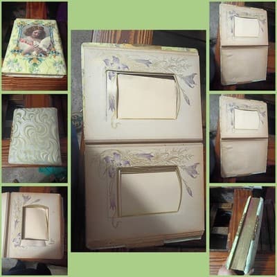 Antique Victorian Celluloid Photo Album Girl with Dove Art Nouveau Floral Large - Thumbnail 2