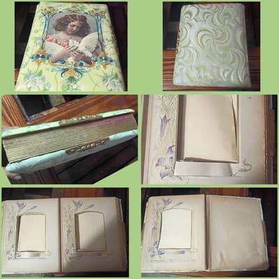 Antique Victorian Celluloid Photo Album Girl with Dove Art Nouveau Floral Large - Image 1