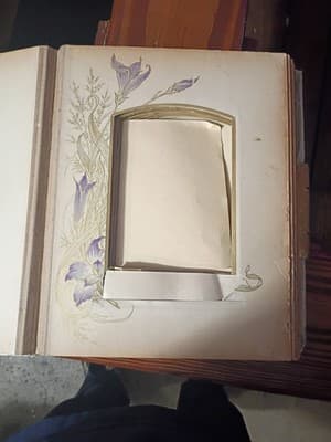 Antique Victorian Celluloid Photo Album Girl with Dove Art Nouveau Floral Large - Thumbnail 12
