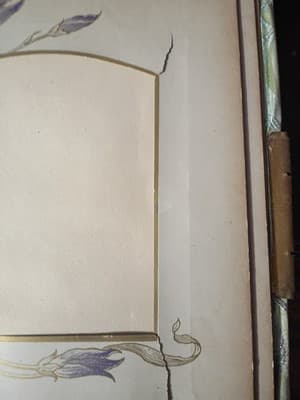 Antique Victorian Celluloid Photo Album Girl with Dove Art Nouveau Floral Large - Thumbnail 10