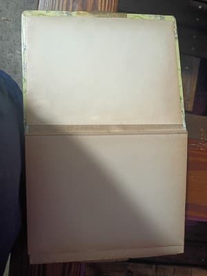 Antique Victorian Celluloid Photo Album Girl with Dove Art Nouveau Floral Large - Thumbnail 9