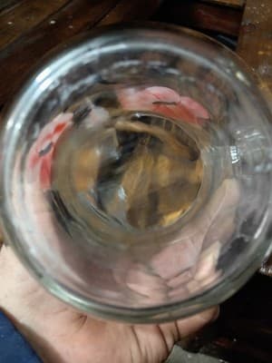 Vintage Gay Fad Studios Hand Painted Pink Poppy Glass Pitcher - 8" MCM Ice Lip - Thumbnail 8