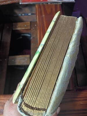 Antique Victorian Celluloid Photo Album Girl with Dove Art Nouveau Floral Large - Thumbnail 7