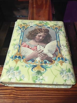 Antique Victorian Celluloid Photo Album Girl with Dove Art Nouveau Floral Large - Thumbnail 3
