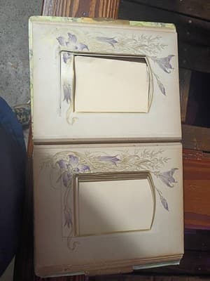Antique Victorian Celluloid Photo Album Girl with Dove Art Nouveau Floral Large - Thumbnail 11