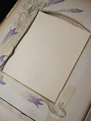 Antique Victorian Celluloid Photo Album Girl with Dove Art Nouveau Floral Large - Thumbnail 13